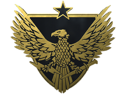 Brigadier General Pin