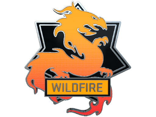 Primary image of skin Wildfire Pin