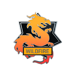 free cs2 skins Wildfire Pin