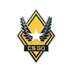 free csgo skin Victory Pin