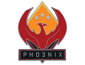 Phoenix Pin