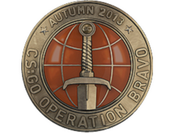 Operation Bravo Challenge Coin