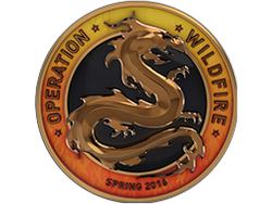 Operation Wildfire Challenge Coin