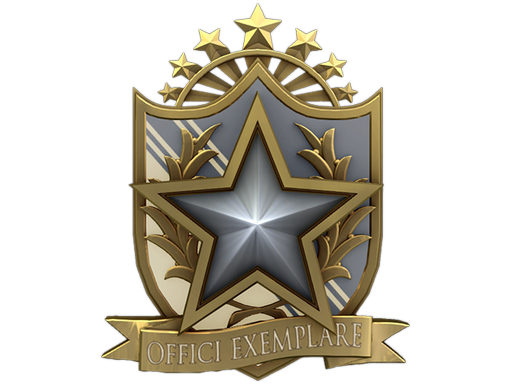 Медаль за службу в 2022
