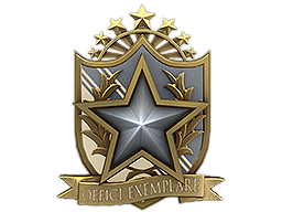Медаль за службу в 2022