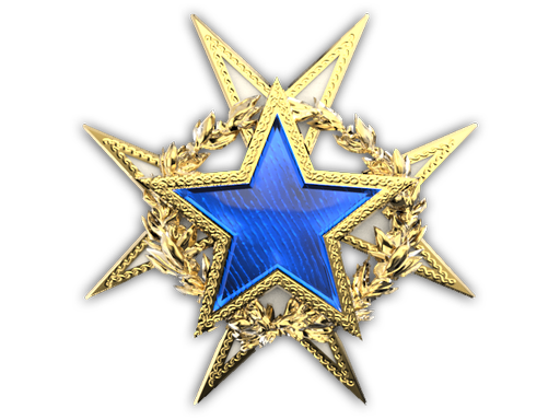 Медаль за службу в 2015