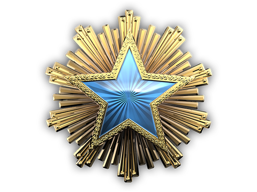 Медаль за службу в 2016