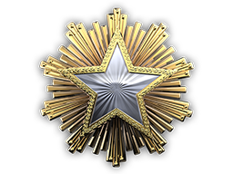 Медаль за службу в 2016