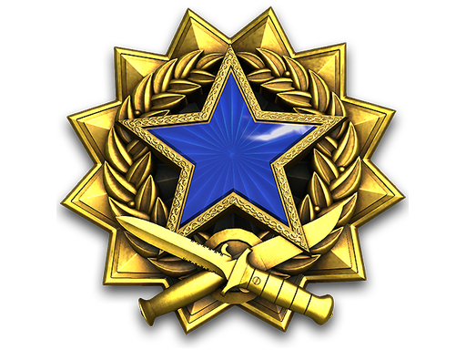 Медаль за службу в 2017