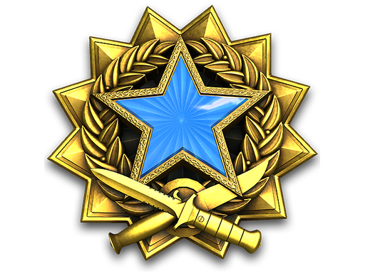 Медаль за службу в 2017