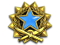 2017 Service Medal