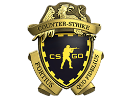 Buy Cs Go Accounts Cs Go Account For Sale Gamermarkt