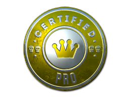 Sticker | The Pro(Foil)