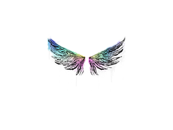 Graffiti | Wings