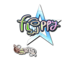 floppy
