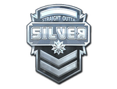 Sticker | Silver (Foil)