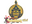 The MongolZ (Holo) | Shanghai 2024