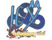 Sticker | ICY (Holo) | Shanghai 2024