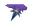 Shattered Web