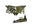 cadiaN (Gold) | Stockholm 2021