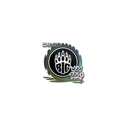 free cs2 skins Sticker | BIG | 2020 RMR