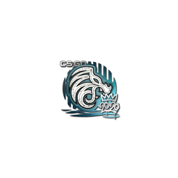 free cs2 skins Sticker | North | 2020 RMR