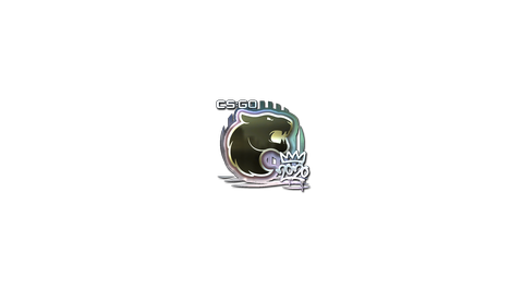 Sticker | FURIA (Foil) | 2020 RMR