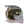 Sticker | FURIA | 2020 RMR