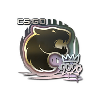 Sticker | FURIA | 2020 RMR