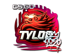 TYLOO (металлическая) | РМР 2020