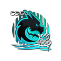 Sticker | Spirit | 2020 RMR