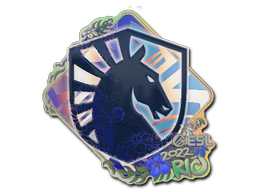 Team Liquid (Holo) | Rio 2022