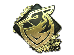 Grayhound Gaming (Gold) | Rio 2022