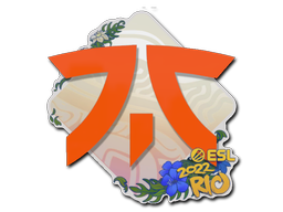 Sticker | Fnatic | Rio 2022