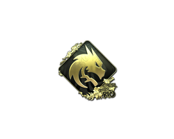 Sticker | Team Spirit | Rio 2022