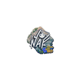 free cs2 skins Sticker | NAF | Rio 2022