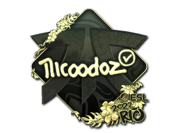 nicoodoz