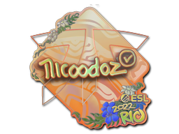 nicoodoz (Holo) | Rio 2022