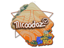 nicoodoz | Rio 2022