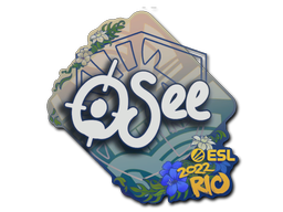 oSee | Rio 2022