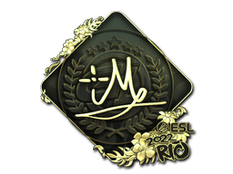 iM