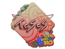 TeSeS | Rio 2022