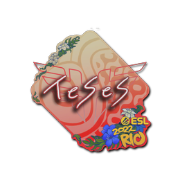 TeSeS