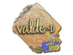 v4lde (Holo) | Rio 2022