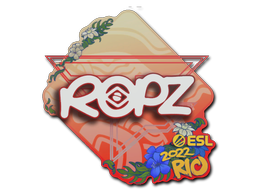 ropz | Rio 2022