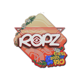 ropz | Rio 2022