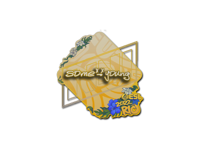 Sticker | sdy | Rio 2022