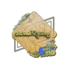 sdy (Holo)