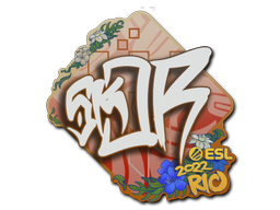 sk0R | Rio 2022