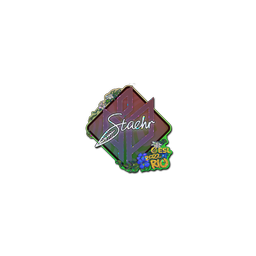 free cs2 skins Sticker | Staehr (Glitter) | Rio 2022